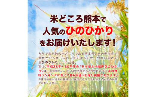 令和5年産 ひのひかり 白米 10kg 《7-14営業日以内に出荷予定(土日祝除く)》 5kg×2袋 熊本県産 米 精米 ひの 熊本県 ---gkt_hn5_wx_24_15500_10kg_h---