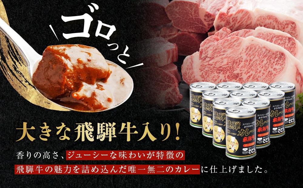 キッチン 飛騨監修 さとうオリジナル 飛騨牛カレー 10缶 飛騨牛入り ビーフカレー 飛騨高山 高山 ご当地カレー 岐阜  999-36-467 ファミリーストアさとう CY033