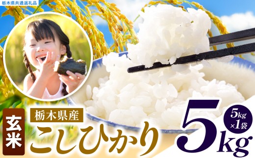 【先行予約】令和8年度産 玄米 約5kg こしひかり |  真岡市産 米  お米 こめ 玄米 ご飯 ごはん もちもち コシヒカリ 限定 ふるさと納税 栃木県 真岡市 送料無料