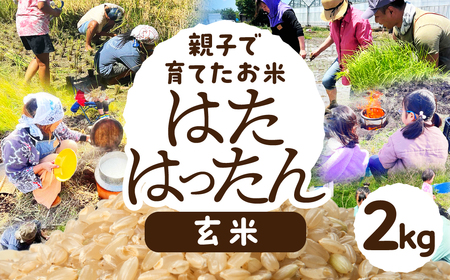 【玄米2kg】お米 2kg 玄米 お米 米 コメ こめ ご飯