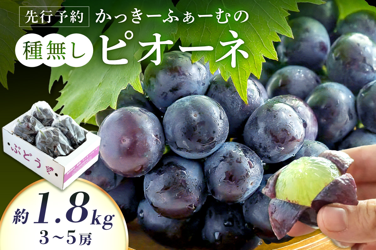 種無しピオーネ 約1.8kg 3～5房《9月上旬頃から発送》 果物 ピオーネ ぶどう  【183_1876】