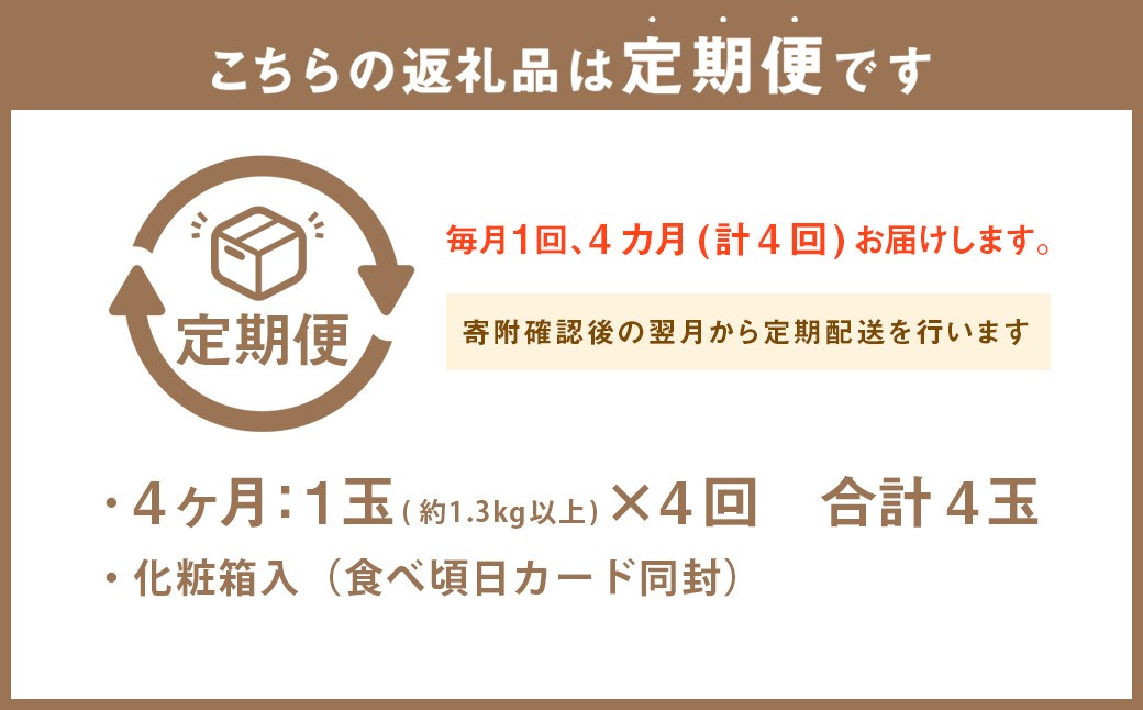 静岡県産高級 アローマメロン 白等級 約1.3kg以上×中玉1玉