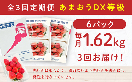 【3回定期便】博多あまおう 3ケース　広川町 / JAふくおか八女農産物直売所どろや[AFAB082]