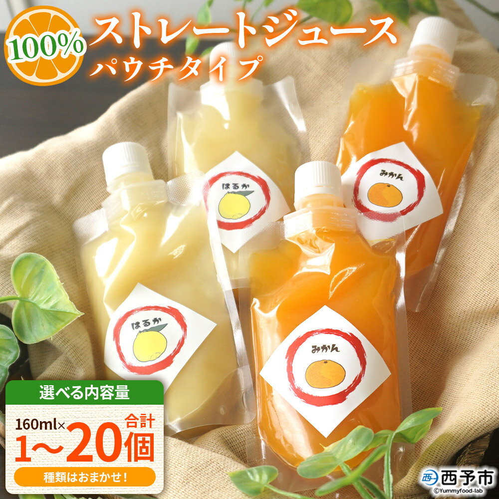 【ふるさと納税】＜100％ストレートジュース パウチタイプ160ml 合計1～20個＞『1か月以内に順次発送予定』選べる 内容量 種類はおまかせ 果物 くだもの フルーツ 柑橘類 みかん 蜜柑 ミカン みかんジュース 飲料 渡江から一歩を踏み出す会 愛媛県 西予市 【常温】