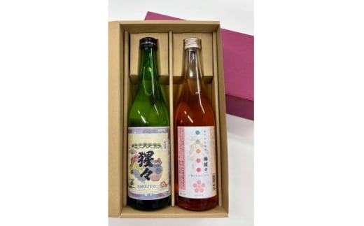 ＜野々市市の地酒＞純米酒「猩々」と梅酒「梅猩々」お楽しみセット(各720ml　1本)【1701979】