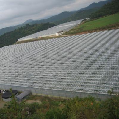 ふるさと納税 世羅町 真っ赤なトマトのピリ辛ソース 300ml×3本 |  | 03