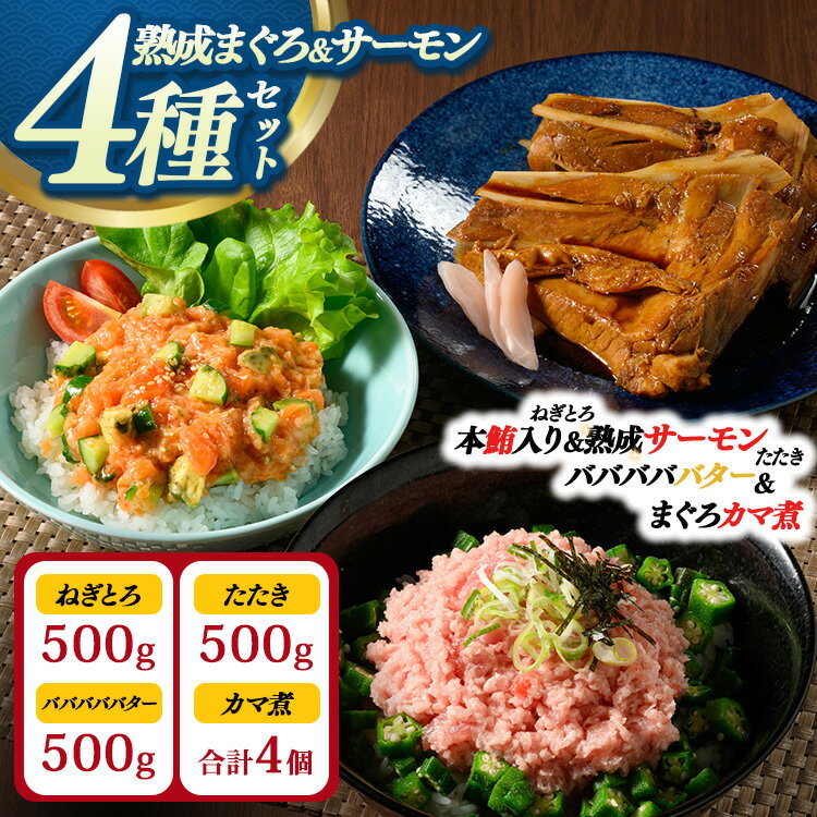 【ふるさと納税】【県水の熟成まぐろ】熟成本鮪入りねぎとろ、熟成サーモンたたき、バババババター、まぐろカマ煮詰め合わせセット（本鮪入りたたき、サーモンたたき各500g×1、バババババター500g×1、まぐろカマ煮2個入り×2） | 鮪 ※北海道・沖縄・離島への配送不可