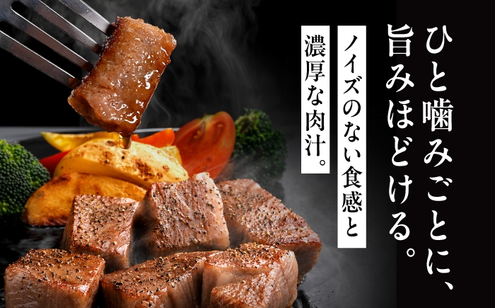  佐賀牛 ヒレ 不揃い サイコロステーキ 600g 訳あり A4 A5 3人前 4人前黒毛和牛 国産 ステーキ サイコロ ヒレ肉