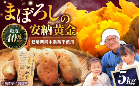 さつまいも【厳選】熟成安納黄金 5kg[AQCF011]サツマイモ