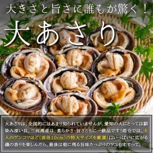 海鮮バーベキューセット1kg(大あさり500g＆サザエ500g)大アサリ専用だし醤油付き【配送不可地域：離島】【1404602】