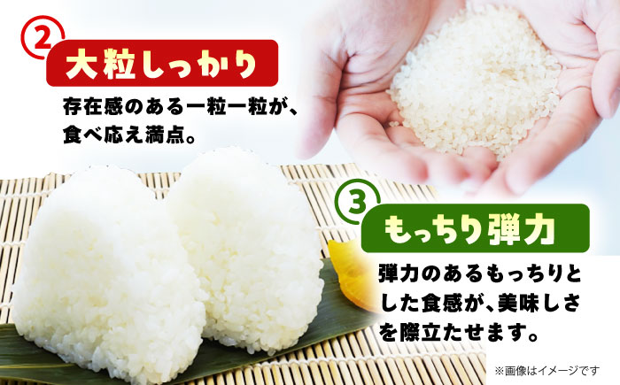 【先行予約】 令和7年産 新米 さがびより 精米 5kg 【佐賀県江北町産】　米 白米 [HAF030]