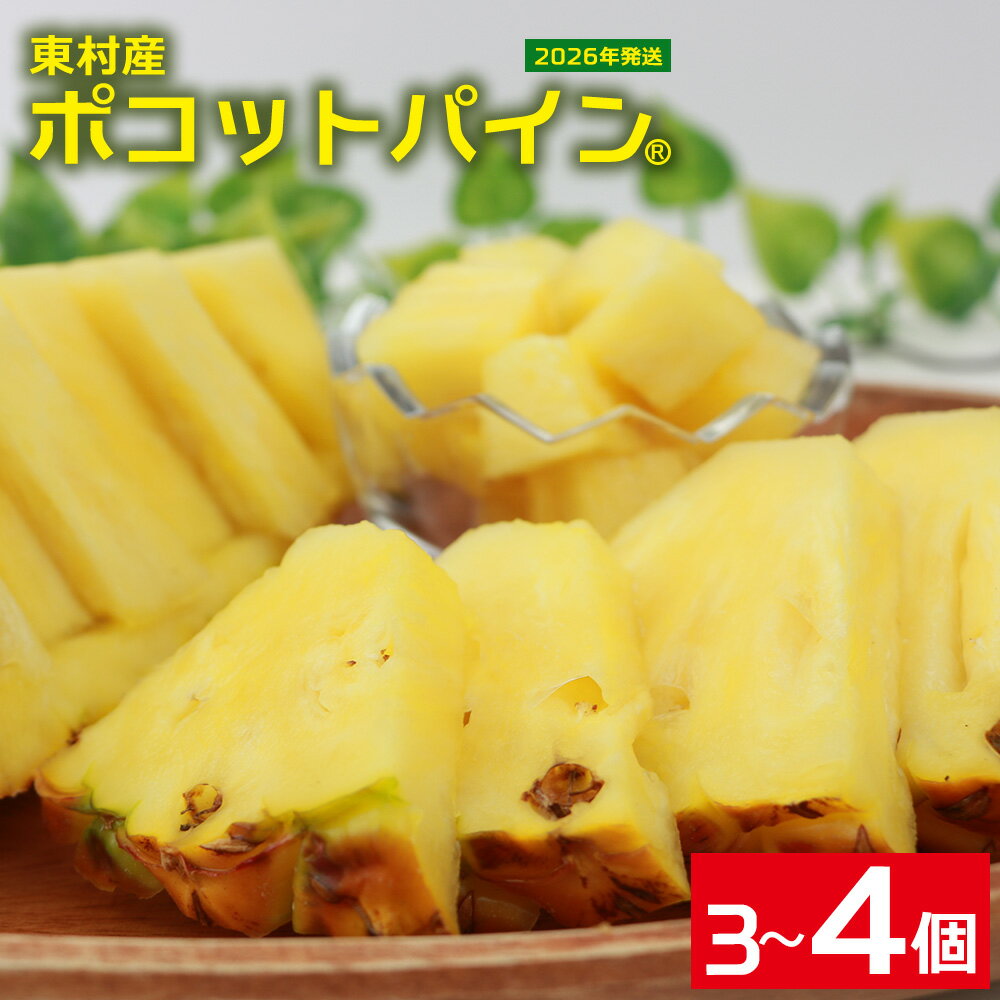 【ふるさと納税】東村産 ポコットパイン3～4個【2026年発送】 ポコットパイン パイナップル パイン 2026年発送 国産フルーツ 南国フルーツ 人気 お土産 贈り物 お取り寄せ 果物 美味しい 大自然 おすすめ オススメ ヤンバル やんばる 北部 沖縄県 東村