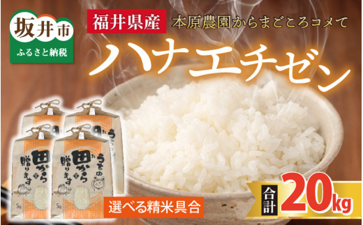 【先行予約】【令和8年産・新米】 ハナエチゼン20kg(5kg×4袋) ～本原農園からまごころコメて～（玄米）【2026年9月上旬以降発送予定】 [D-8917_02]
