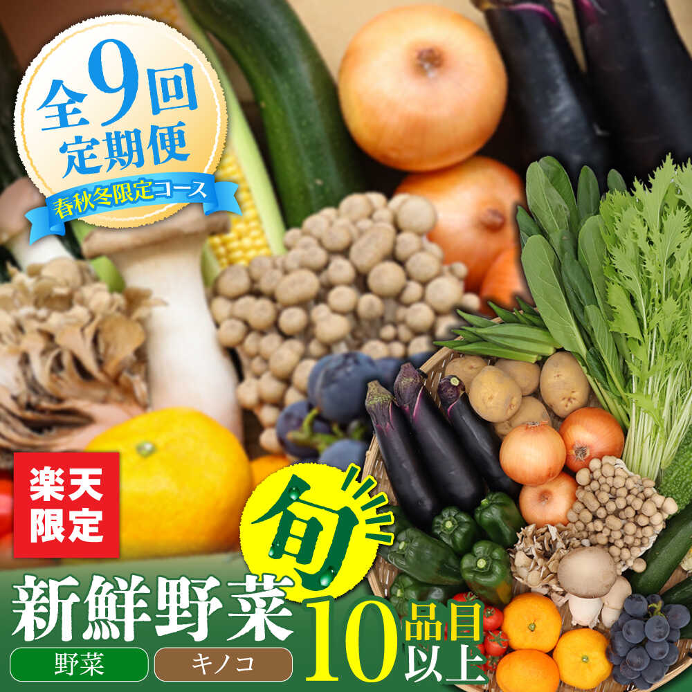 【ふるさと納税】＜楽天限定＞野菜 キノコ 果物 11品目 詰め合わせ 9回定期便 / 野菜定期便 やさい定期便 野菜セット きのこ セット 野菜詰め合わせ / 南島原市 / 吉岡青果[SCZ026]