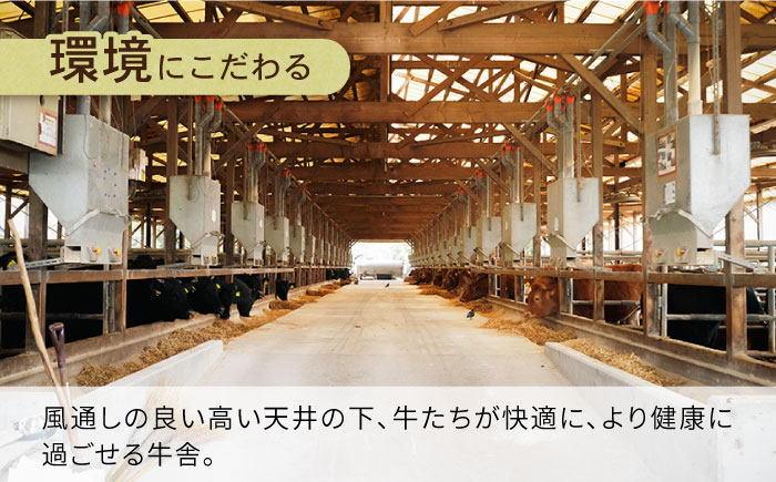 【6回定期便】長崎県産 和牛 肩ロース スライス 500g / すき焼き / しゃぶしゃぶ / 南島原市 / 高田牧場 [SDB009]