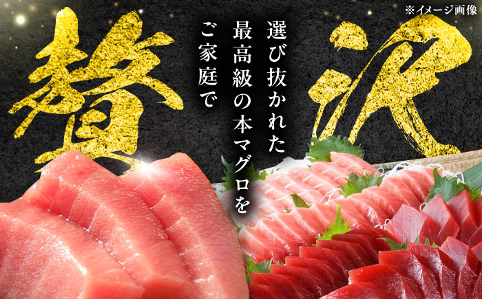 【全3回定期便】 対馬産 本マグロ 4種 計2kg（赤身/中トロ/大トロ/ネギトロ）《対馬市》【対海】 冷凍配送 大容量 新鮮 海鮮丼 手巻き寿司 [WAH034]