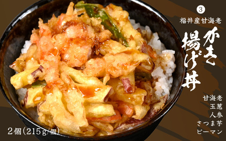 ソースカツ丼 天丼 かき揚げ丼 各2個 (計6個セット) レンジで簡単調理！ミニ丼3種セット！ [A-8405]