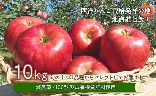 北海道七飯町産 りんご 10kg 有機質肥料使用 【 ふるさと納税 人気 おすすめ ランキング りんご  減農薬 除草剤不使用 元祖 詰め合わせ おいしい 北海道 七飯町 送料無料 】 NAR003
