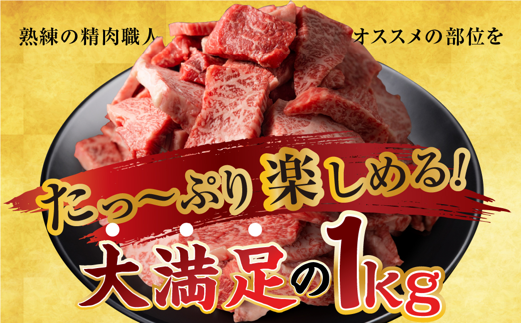 飛騨牛 焼肉 切り落とし 500g × 2 計 1kg | 牛肉 肉 切落し わけあり 訳あり商品 ワケアリ 不揃い 小分け 切り落とし小分け 冷凍 すぐ届く 本巣市 トキノ屋 食品 訳有 焼肉セット