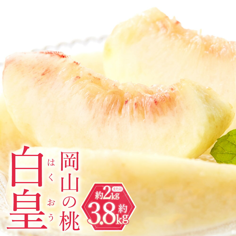 【ふるさと納税】＜選べる内容量＞岡山の桃 白皇 5～8玉（約2kg） / 9～15玉（約3.8kg） 桃 もも モモ フルーツ くだもの 果物 果実 デザート 冷蔵 岡山県産 国産 岡山県 倉敷市 送料無料 【2026年8月下旬～9月下旬発送予定】