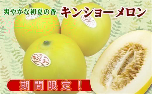 
            爽やかな初夏の香 キンショーメロン5kg( メロン フルーツ 甘み 良質 )【B3-073】
          