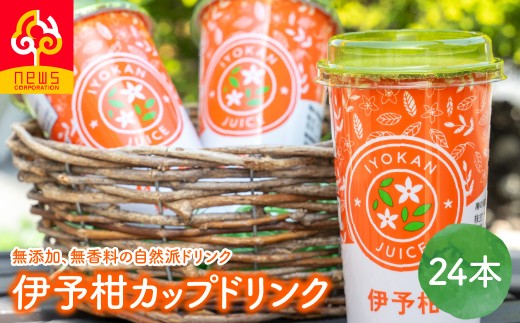 伊予柑カップドリンク24本入り【ふるさと納税 人気 おすすめ ランキング 柑橘 みかん ミカン オレンジ 伊予柑 カップドリンク オレンジジュース ジュース フルーツジュース 旬 愛媛県産 愛媛みかん ニュウズ 愛媛県 伊方町 送料無料】IKTF043