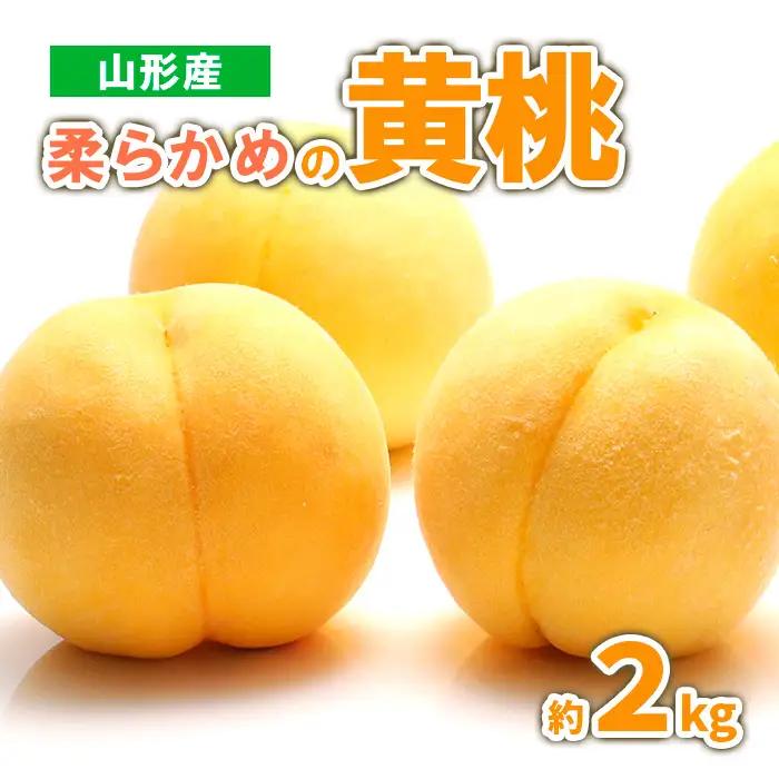 山形産　柔らかめの黄桃 約2kg (4～9玉) 秀品 【令和8年産先行予約】 FS23-718 くだもの 果物 フルーツ 山形 山形県 山形市 2026年産