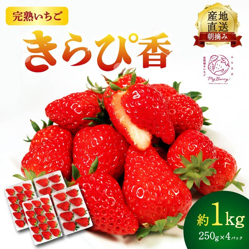 【先行予約 : 2026年1月～2026年2月発送予定 】 いちご きらぴ香 約1kg 約250g×4パック 朝どれ 完熟 苺 産地 直送 フレッシュ イチゴ 贈答 フルーツ 果物 国産 静岡県 藤枝市 ふるさと人気 ふるさとおすすめ