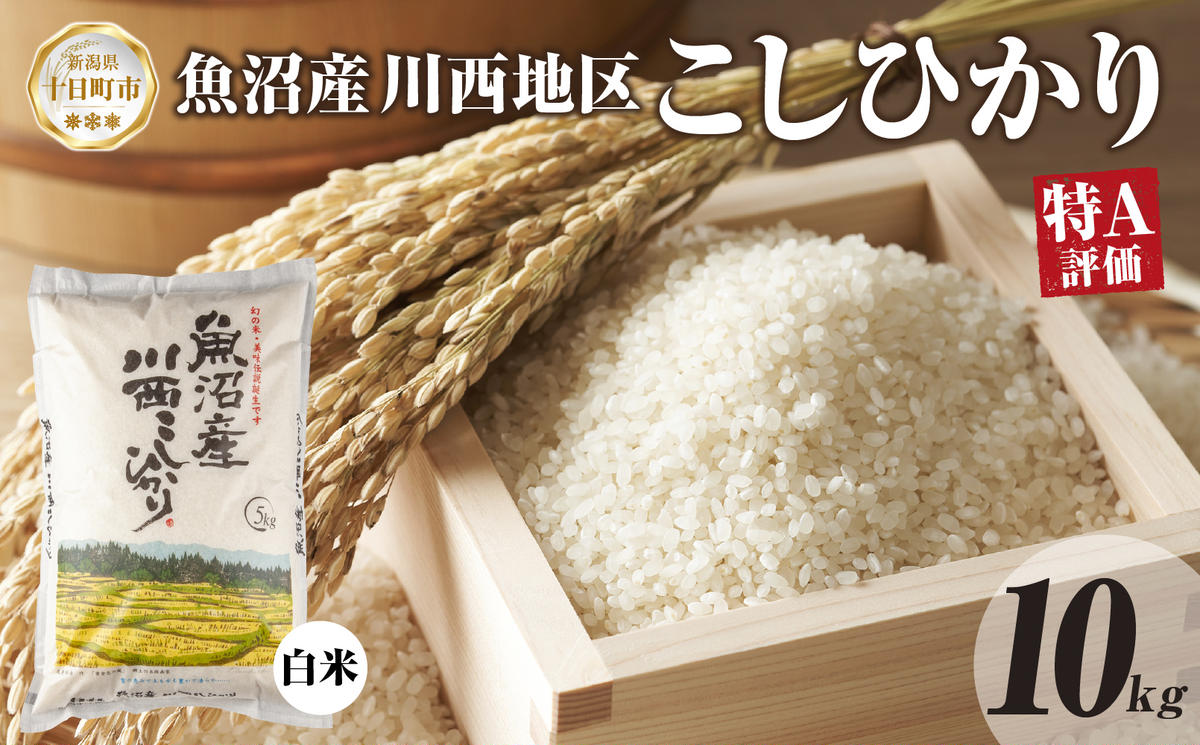 【令和8年産 先行予約】魚沼産 川西 こしひかり 15kg 精米 米 コメ お米 ごはん ご飯 白米 おにぎり 炊き立て ブランド米 コシヒカリ 新潟県産 魚沼 人気 国産 産地直送 お取り寄せ 送料無料 新潟県 十日町