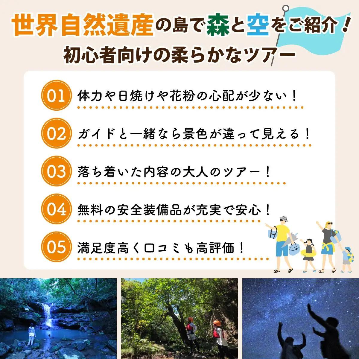 西表島 半日森林浴滝トレッキングツアー 小人1名分