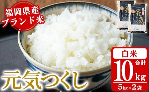 《白米》福岡県産ブランド米「元気つくし」(計10kg・5kg×2袋) 白米 米 お米 おこめ ごはん げんきつくし ご飯 常温 福岡県産 ブランド米 常温 常温保存 おにぎり おむすび お弁当 ライス【朝ごはん本舗】as05-055