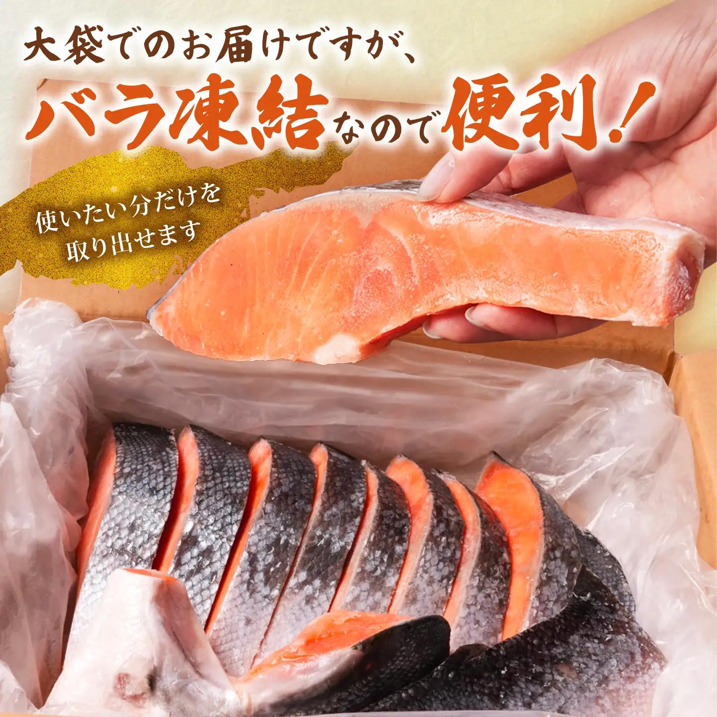 訳あり 厚切り 銀鮭 1kg 鮭