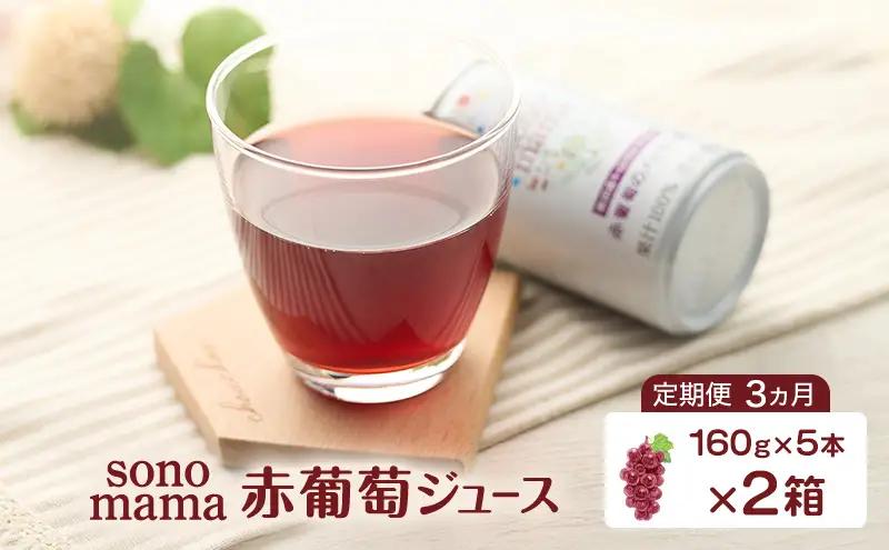 ぶどうジュース赤葡萄sonomamaぶどうジュース【160g×5本×2箱】【定期便3ヵ月】