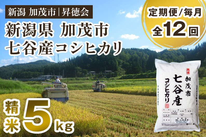 
                  【令和8年産新米先行予約】【定期便12ヶ月毎月お届け】新潟県加茂市 七谷産コシヒカリ 精米5kg 《10月中旬～順次出荷》 白米 高柳地域産数量限定 昇徳会 定期便
                