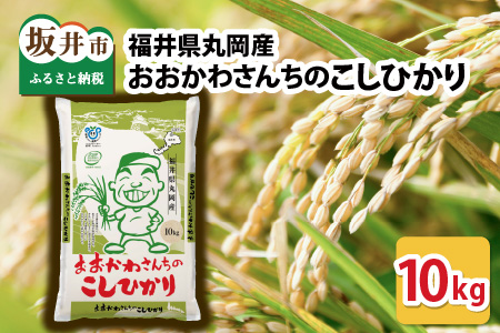 【令和7年産】 おおかわさんちのコシヒカリ 10kg [B-10802]