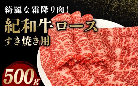 肉 牛肉 国産 紀和牛 すき焼き用 ロース 500g【冷蔵】 / 牛肉 すき焼き 【tnk108-1】