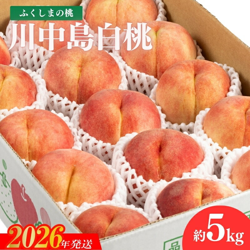 【ふるさと納税】No.2154福島のもも　川中島白桃　約5kg【2026年発送 先行予約】