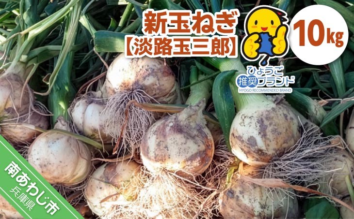 
                  【新玉・ひょうご推奨ブランド】新玉ねぎ（淡路玉三郎）10kg ◆配送３月上旬～５月中旬
                