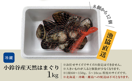 【 奇跡のはまぐり 】小鈴谷産天然はまぐり【 1kg 】 国産 天然 はまぐり 貝 漁協直送 魚貝類 肉厚 日本産 旨味 お祝い お吸い物 大きい 手掘り 潮干狩り 冷蔵便 小鈴谷天然蛤 海の幸 縁起
