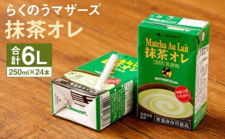 抹茶・オ・レ 【1回】250ml×24本 選べる 内容量 合同会社たべたせいか《30日以内に出荷予定(土日祝除く)》 抹茶オーレ 抹茶オレ 抹茶ミルク 抹茶 抹茶 乳製品 乳飲料 クロレラ 飲み物 飲料 常温保存 お取り寄せ 国産抹茶 熊本県産 菊池市 送料無料