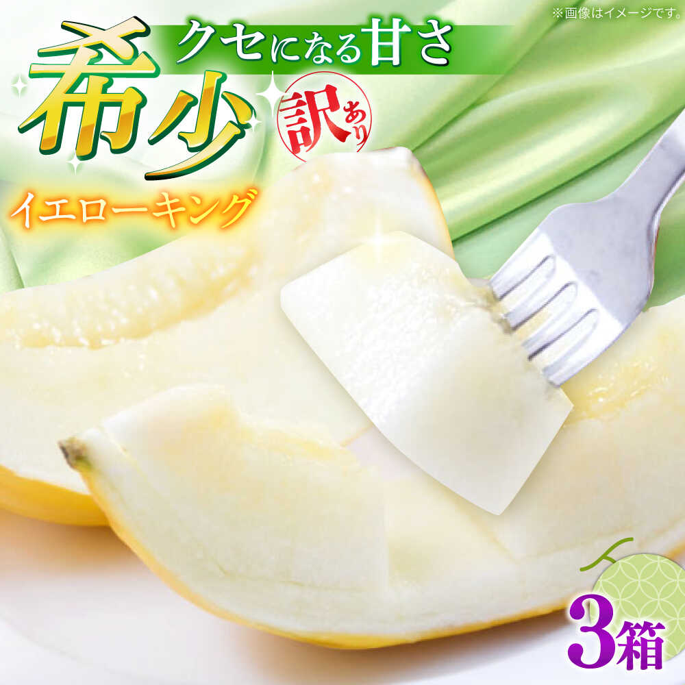 【ふるさと納税】【2026年5月〜発送】訳あり メロン イエローキング 3箱（1箱 3～6玉） / メロン めろん フルーツ 果物 わけあり 訳あり 傷 / 南島原市 / 南島原果物屋[SCV044]
