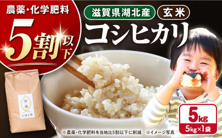 【令和7年産新米】減農薬米 近江米 湖北のコシヒカリ 玄米5kg[AQAK001] こしひかり