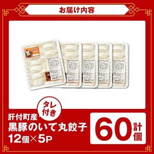 【P43002】鹿児島県 肝付町産 黒豚 餃子 ギョーザ(計60個・12個入 5パック) ≪ パリッ と もっちり で ジューシー ≫ ぎょうざ たれ付き パリパリ もちもち ジューシー おかず 弁当