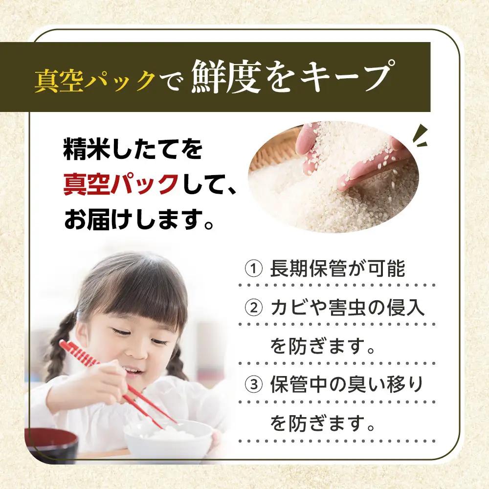 令和7年産　おぼろづき 無洗米 真空パック 5kg×2袋 10kg【 白米 精米 ご飯 ごはん 米 5kg お米 旭川市 北海道 】_06548