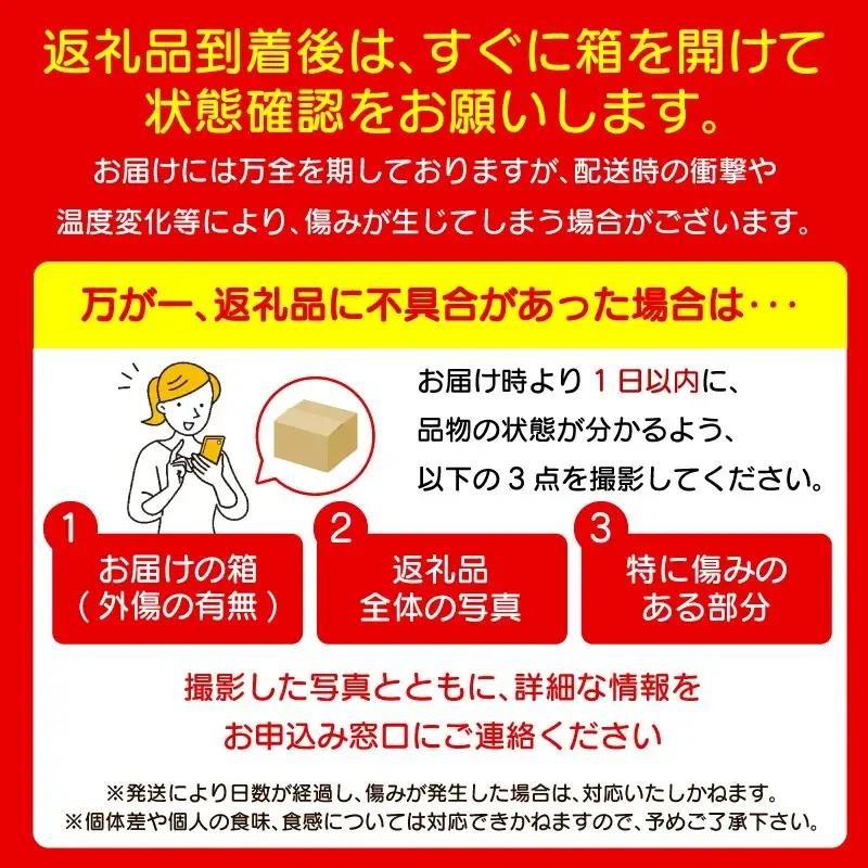 フルーツ 定期便 2回 コースB 果物