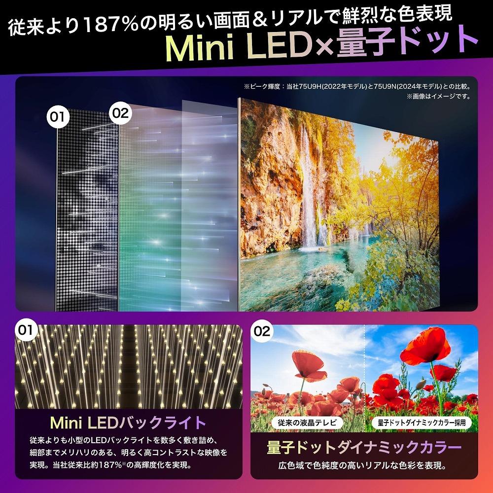 65インチ Mini LED 4K液晶スマートTV　65U9N