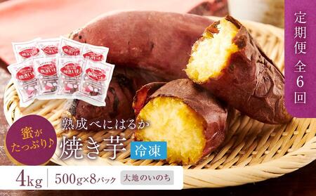 【定期便 全6回】蜜がたっぷり♪熟成べにはるか 焼き芋（冷凍）4kg（500ｇ×8P）＜大地のいのち＞