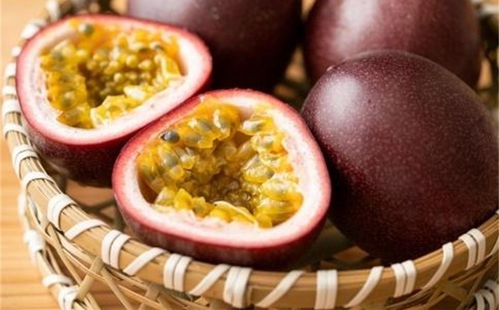 
                  【2026年発送 先行受付】パッションフルーツ 化粧箱12個入り×2箱 計24個【武富農園】【果物 くだもの 食品 パッションフルーツ 南国 トロピカルフルーツ 美味しいフルーツ 自然の恵み フルーツギフト 新鮮フルーツ 国産フルーツ 健康志向 果汁たっぷり 夏の味覚 果物詰め合わせ 季節の果物 贈り物  鹿児島県 奄美大島 瀬戸内町】
                