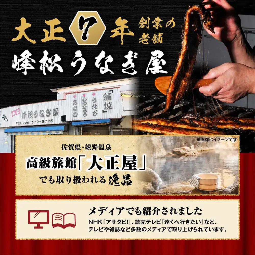 国産うなぎの蒲焼１尾入り 【180～200g】 大型サイズ 国産 鰻 ウナギ 蒲焼き タレ付き 密封パック入りうなぎ 佐賀県 鹿島市 冷蔵うなぎ　B-14