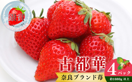 奈良県産ブランド「古都華（ことか）」4パック（約1080g）| フルーツ くだもの 果物 いちご イチゴ ことか コトカ 古都華 奈良県 五條市